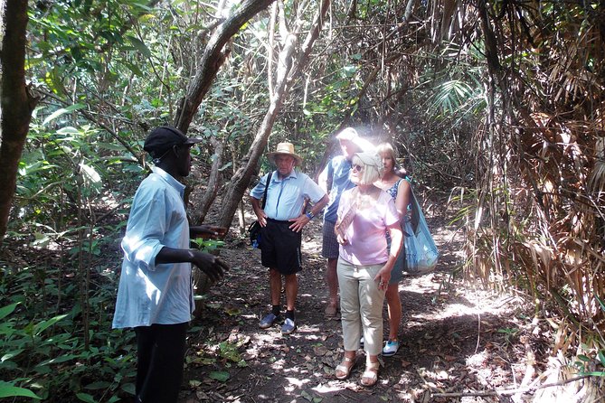 Private Makasutu Culture Forest Tour, - Price Details
