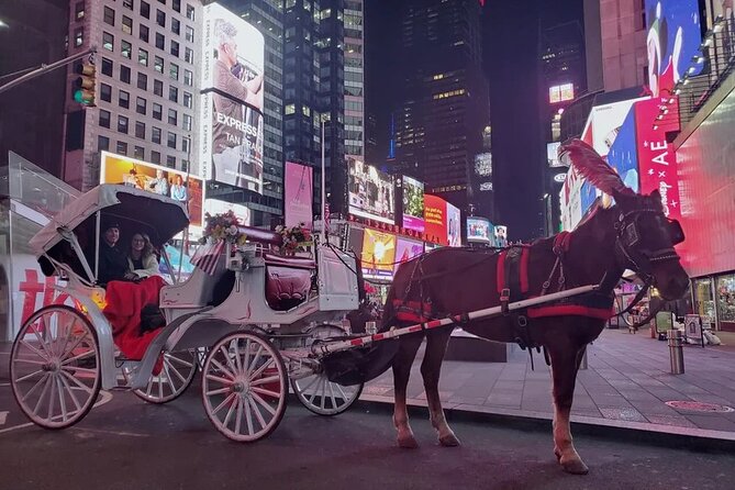 Private Night Tour by Horse Carriage Ride in Alexandria - Additional Info