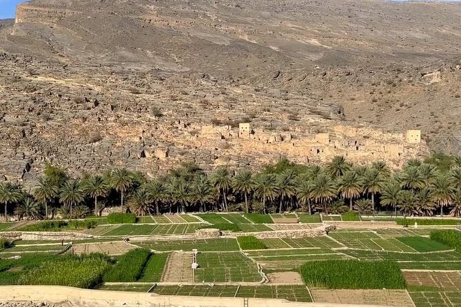 Private Nizwa - Al Hamra Old Village - Misfah Al Arbyeen - Full Day Tour - The Sum Up