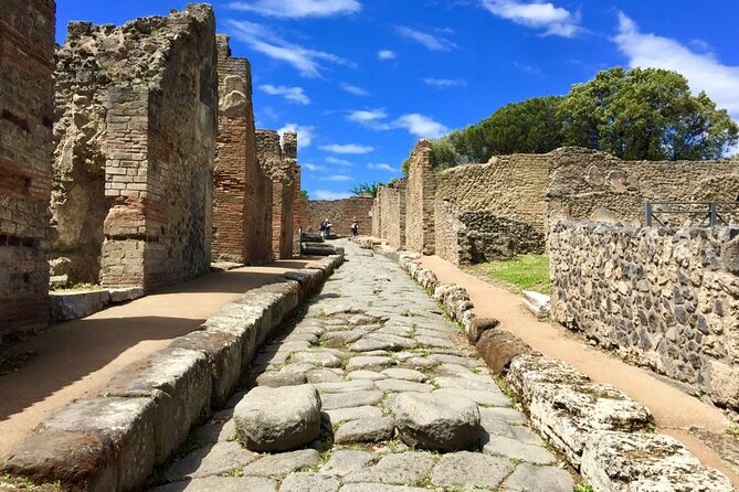 Private Pompeii Tour From Sorrento With Pick up and Drop off - Booking Information