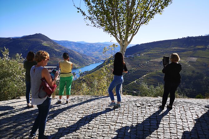 Private Porto to Douro Valley Wine Tour + Lunch and Boat Cruise - Tour Inclusions