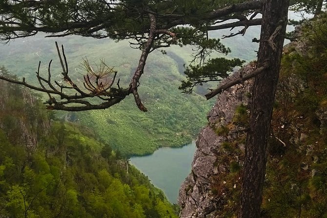 Private Road Trip From Belgrade to Mountain Tara - Transportation Details
