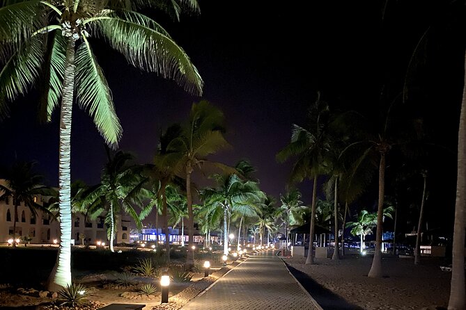 Private Salalah Night Tour With Dinner and Pick up - Tour Details