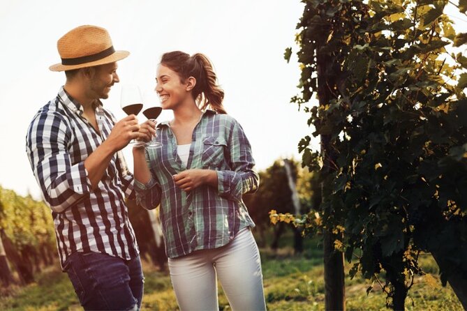 Private Santorini Fine Wine Tasting - Inclusions and Exclusions