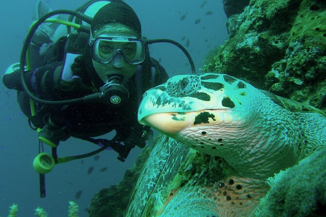 Private Scuba Diving Trips Muscat - Scuba Diving Experience Details