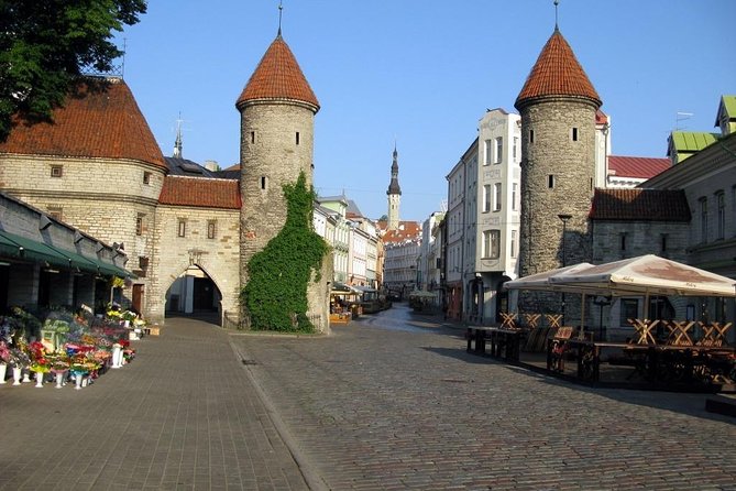 Private Shore Excursion: Walking Tour of Tallinns Old Town - Price and Availability