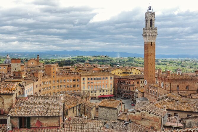 Private Siena and San Gimignano : Day Trip From Florence - Accessibility Information