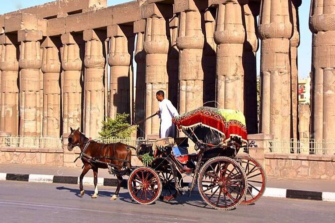 Private Sound and Light Show and Luxor City Tour by Carriage (3 * 1) - Inclusions and Exclusions