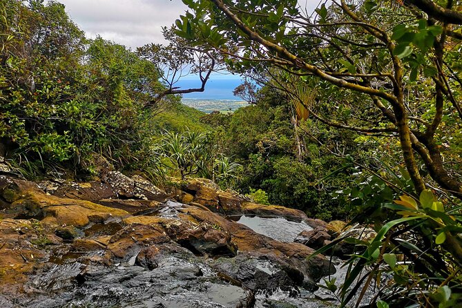 Private Southwest of Mauritius: Barbecue Lunch at Îlot Fourneau - The Sum Up