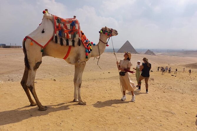 Private Tour Cairo Museum and Giza Pyramids From Sharm El Sheikh by Round Flight - Tour Highlights