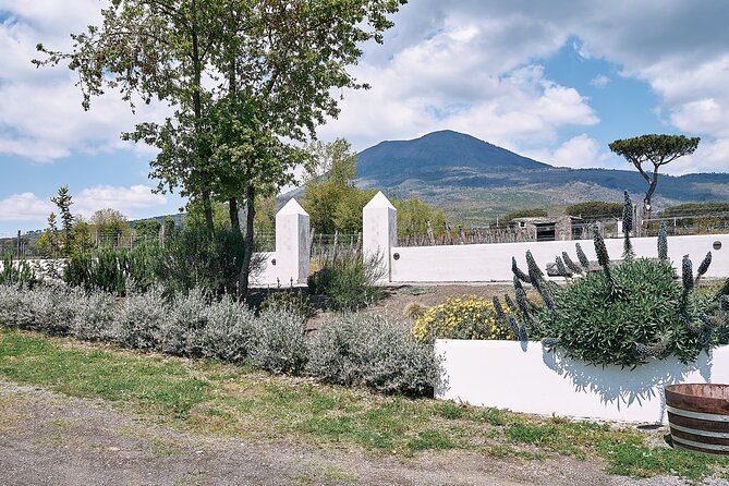 Private Tour Ercolano Ruines and Wine Tour Tasting - Tour Experience