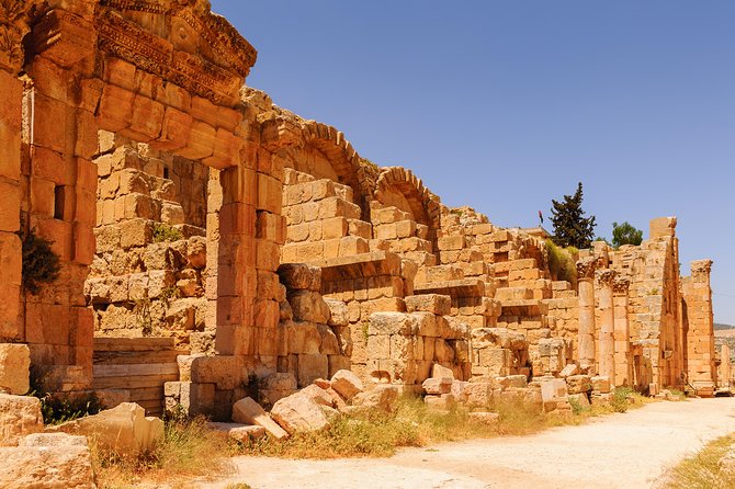 Private Tour: Full Day Trip of Jerash, Umm Qais, and Pella From Amman - Reviews and Feedback