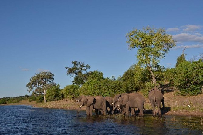 Private Tour - Game Drive & Rhino Walk Safari - Booking Information