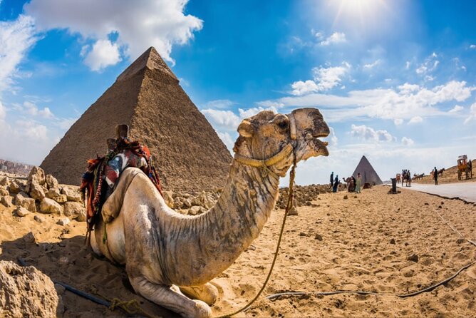 Private Tour Giza Pyramids, Sphinx, Camel, Lunch - Support Options