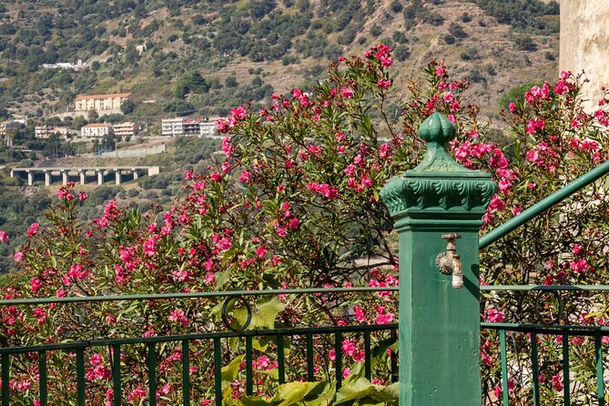 Private Tour of Savoca and Taormina From Messina - Pickup Details and Accessibility