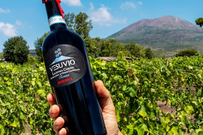 Private Tour Pompeii and Vesuvio Park From Napoli or Amalfi Coast - Frequently Asked Questions