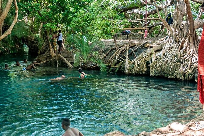 Private Tour to Materuni Waterfalls, Coffee Tour, Kikuletwa Hot Springs & Maasai - Pricing and Reservations
