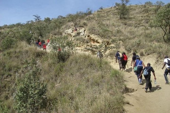 Private Tour to Mount Longonot and Optional Boat Ride on Lake Naivasha - Reviews