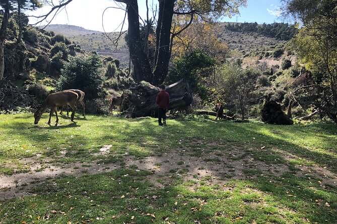 Private Tour To Parnitha and Mpafi Refuge Half Day - Important Guidelines and Restrictions