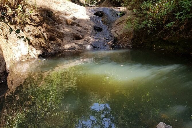 Private Tour to Suba Forest and Highest Peak With Lunch - The Sum Up