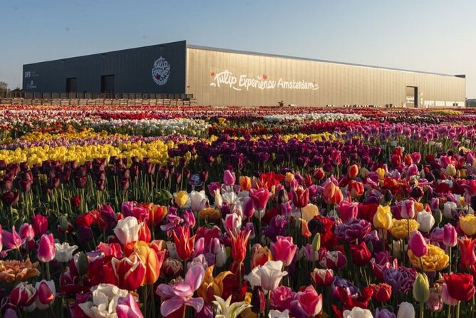 Private Tour to Tulips, Keukenhof, Windmills & Cheese Farm - Frequently Asked Questions