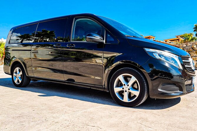 Private Transfer From Alicante/Alicante Airport to Torrevieja Area - Pricing Information