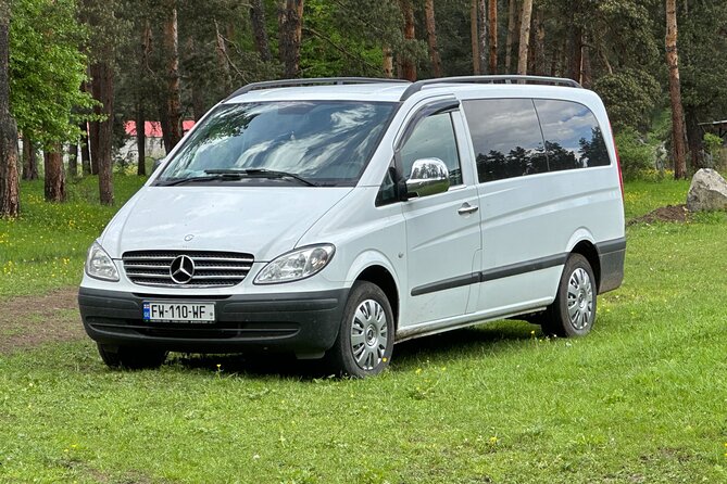 Private Transfer From Tbilisi Airport to Tbilisi and Viceversa - Meeting and Pickup Information