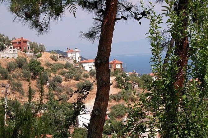 Private Transfers İZmir City or Adnan Menderes Apt To/From Dikili Resort - Operating Hours