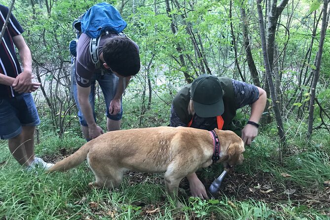 Private Truffle Hunting in Slovenia With Meal - Zdenko Tartufi - Meeting Point and End Point