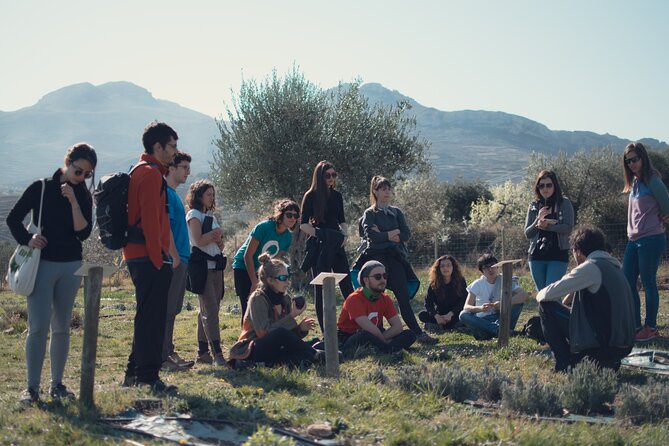 Private Visit to an Aromatic Plant Farm in La Rioja - The Sum Up