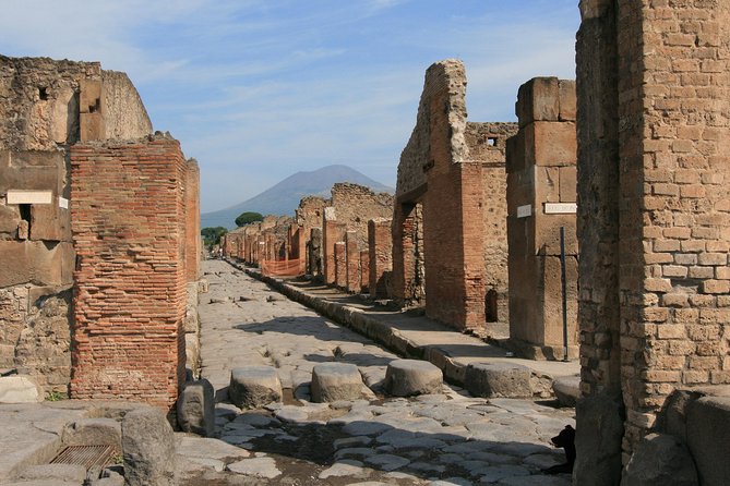 Private Walking Tour of Pompeii - Cancellation Policy