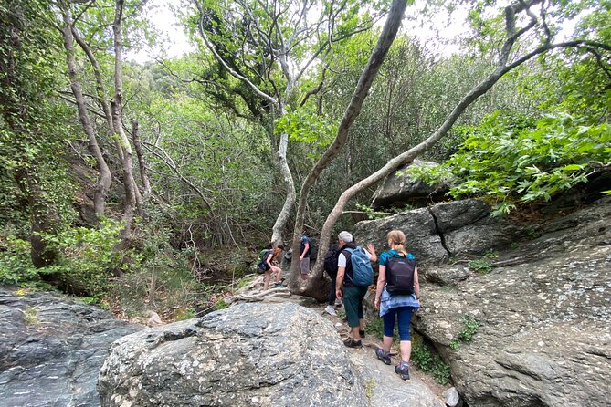 Private Waterfall Hiking in Richtis Gorge - Start Time: 09:00 Am