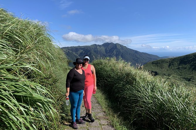 Private Yangmingshan Volcano Tour - Appreciation for Guides