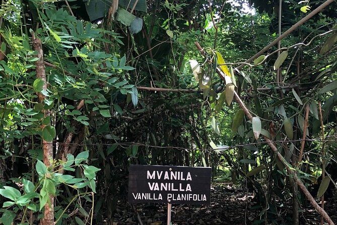 Private Zanzibar Spice Farm Tour - Cancellation Policy
