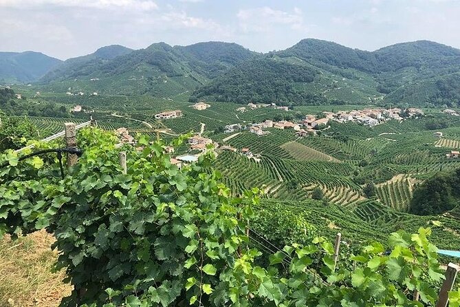 Prosecco Tasting and Lunch on the Hills. Private Tour From Venice - Included Amenities