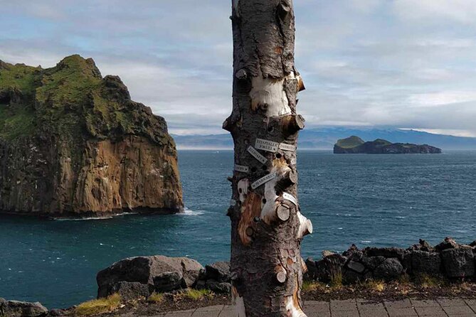 Puffin and Volcano Boat Tour - Booking Information