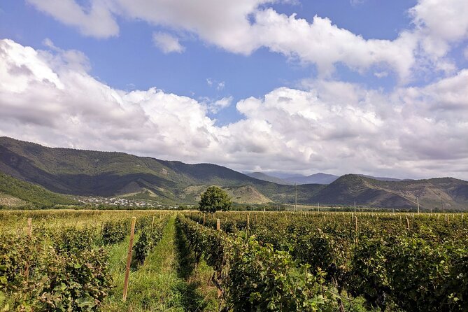 Racha Region With Tsolikouri Wine Tasting From Kutaisi - Important Tour Information