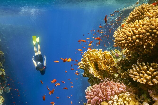 Ras Abu Gallum and Blue Hole Overnight Snorkeling Trip From Dahab - Meeting and Pickup