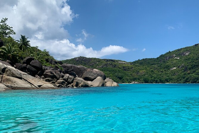 Reef Safari - Snorkeling, Fish Feeding & Lunch (Shared Day Trip) - Itinerary Highlights