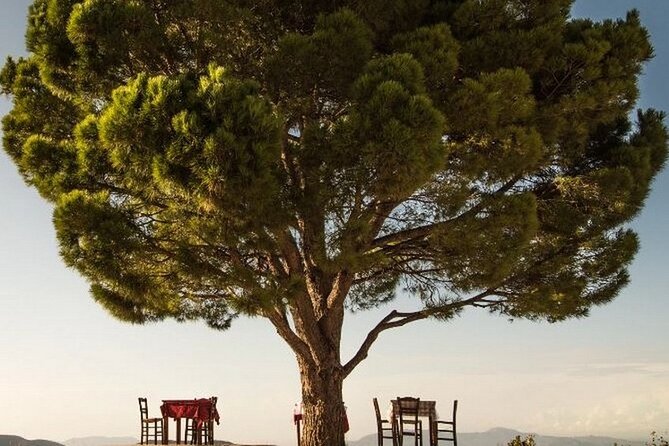 Rethymno Luxury Jeep Tour in Cretan Viniculture and Olive Farming - Scheduling Details