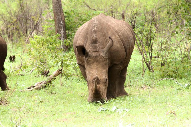 Rhino Game Drive - Location Details