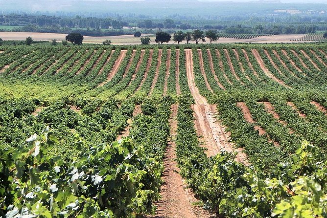 Ribera Del Duero From Madrid Full Day - Frequently Asked Questions