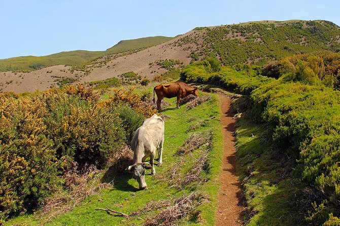 Rosemary Trail - Cancellation Policy