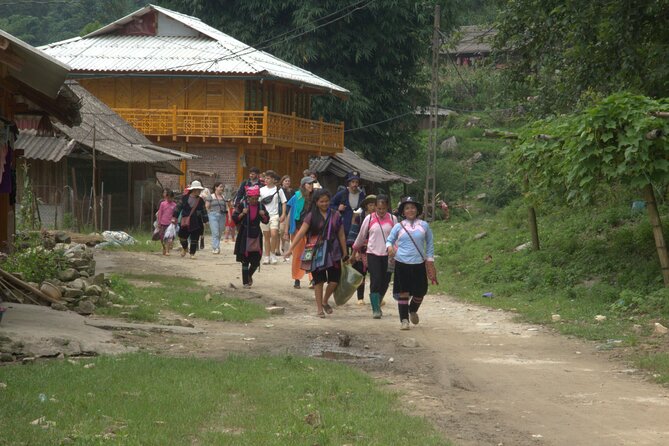 Sa Pa Full Day Trekking Tour - Overall Experience