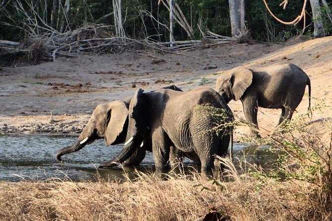 Saadani National Park Day Tour - Important Information
