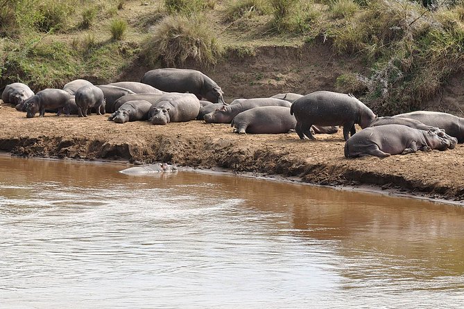 Saadani National Park Day Trip From Dar Es Salaam - Reservation and Availability