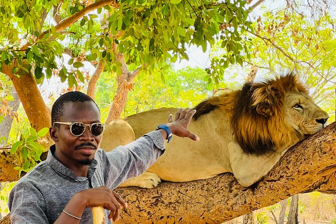 Safari and Walk With Lions in Fathala - Tour Inclusions and Itinerary