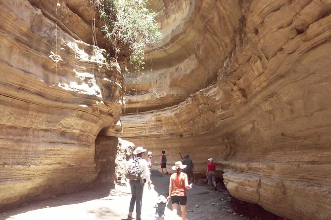 Safari Day Trip – Hell Gate, Lake Naivasha Birds Boat Safari & Crescent Walk - Important Booking Information