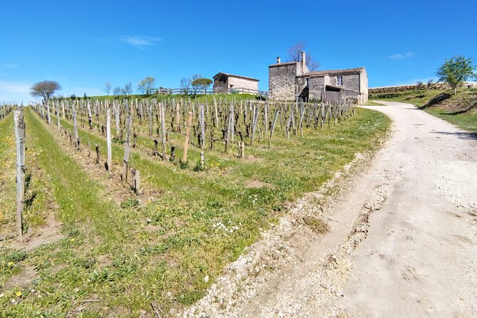 Saint-Émilion by Bike Gravel & Wine Tasting - Booking Information