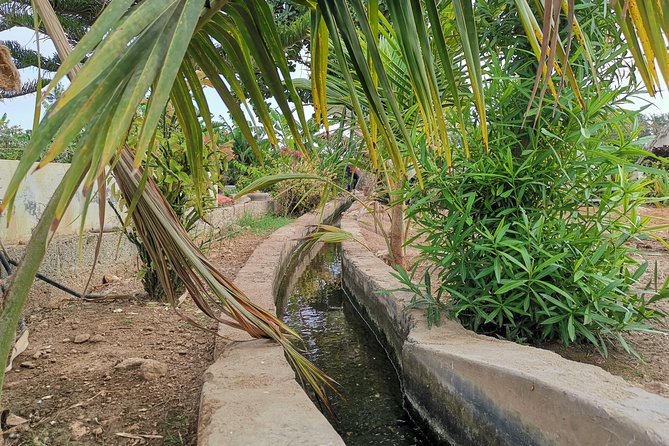 Salalah City Private Tour - All-Inclusive Sight-Seeing Tour - Accessibility Information